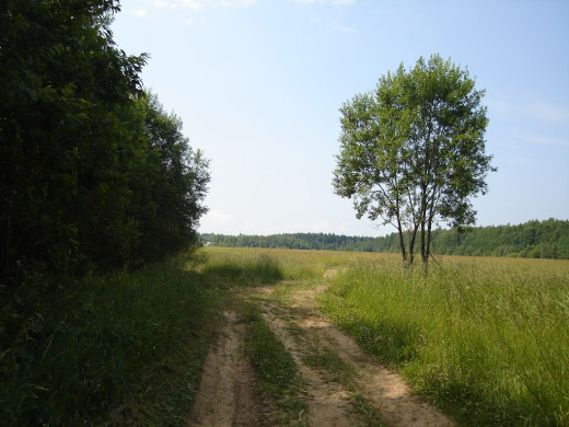 26929 (a): :1024x768